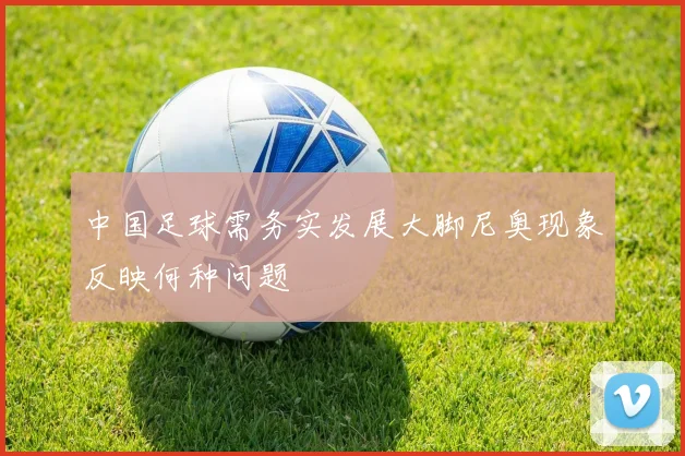 中国足球需务实发展大脚尼奥现象反映何种问题